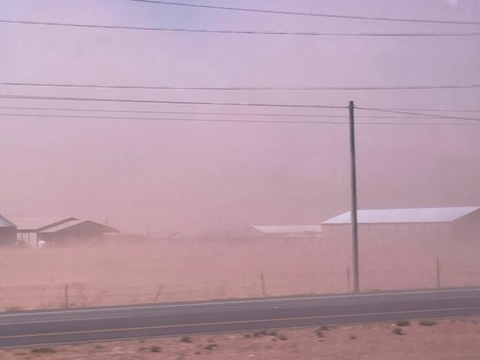 WhatsApp Image 2024-03-24 at 7.16.08 PM