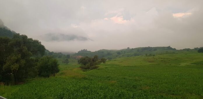 WhatsApp Image 2024-03-26 at 3.53.23 PM