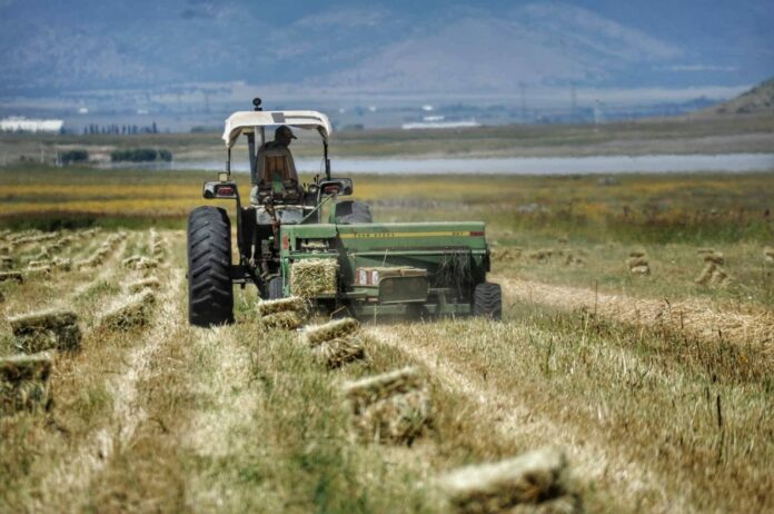 WhatsApp Image 2024-03-27 at 11.48.04 AM