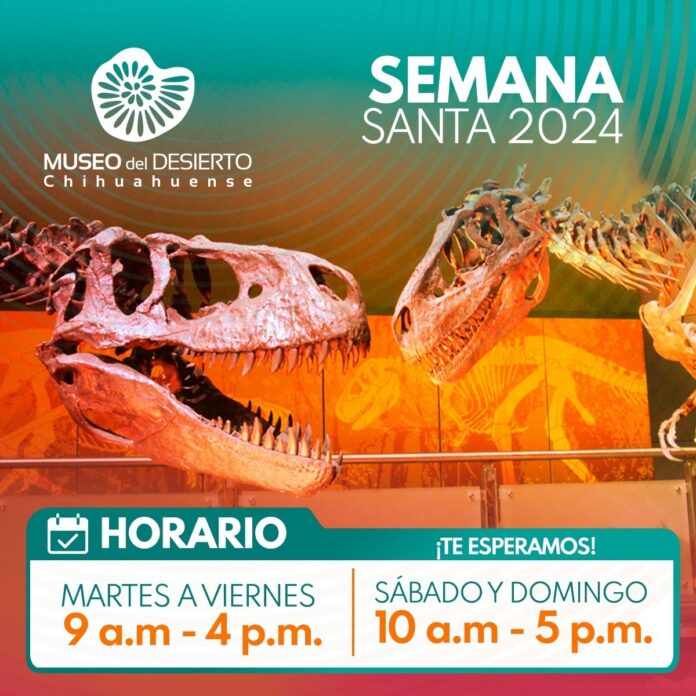 WhatsApp Image 2024-03-28 at 12.56.05 PM