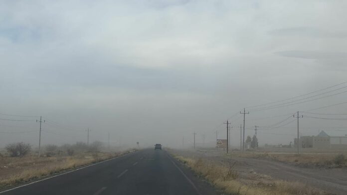 WhatsApp Image 2024-03-31 at 2.22.45 PM