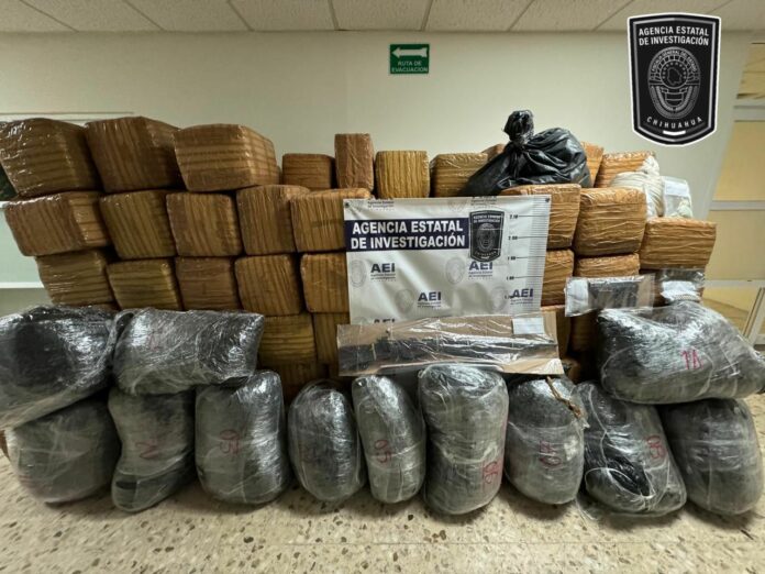 WhatsApp Image 2024-04-15 at 1.35.51 PM