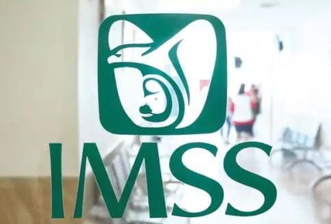 WhatsApp Image 2024-04-15 at 5.45.43 PM