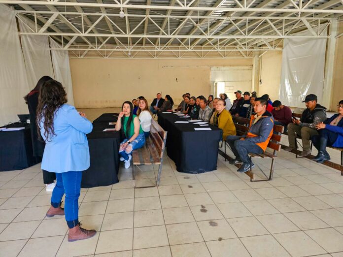 WhatsApp Image 2024-04-17 at 12.28.39 PM