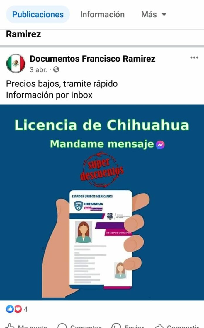 WhatsApp Image 2024-04-23 at 12.44.26 PM