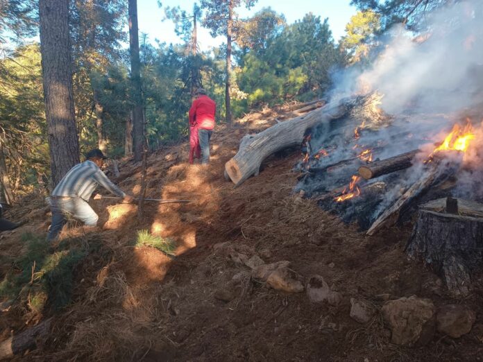 WhatsApp Image 2024-04-26 at 2.09.58 PM