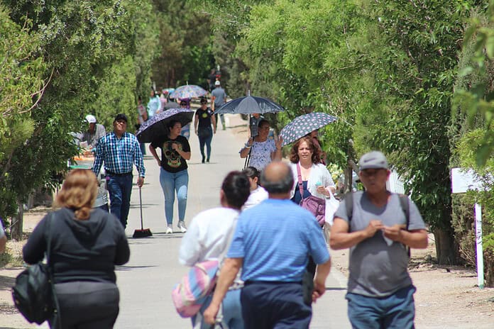 WhatsApp Image 2024-05-13 at 1.25.28 PM