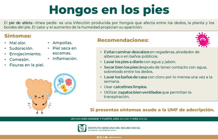 WhatsApp Image 2024-05-16 at 12.03.35 PM