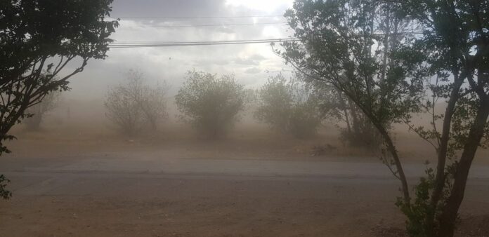 WhatsApp Image 2024-05-22 at 1.40.56 PM