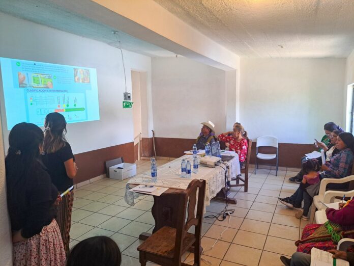 WhatsApp Image 2024-05-22 at 10.41.20 AM