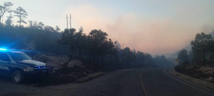 WhatsApp Image 2024-05-24 at 11.38.14 AM