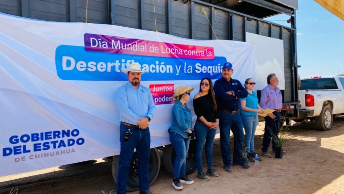 WhatsApp Image 2024-06-17 at 3.13.29 PM