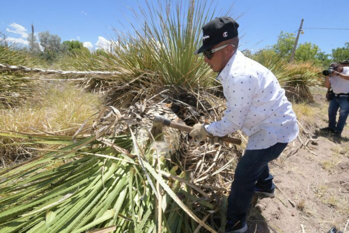 WhatsApp Image 2024-06-26 at 11.55.13 AM