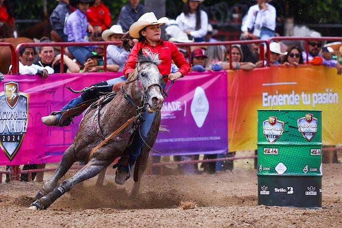 WhatsApp Image 2024-07-04 at 3.08.44 PM