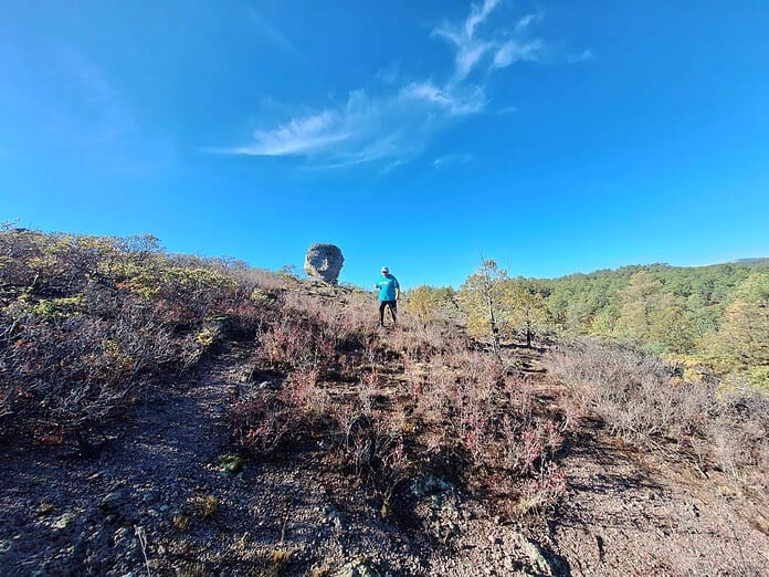 WhatsApp Image 2024-07-08 at 11.27.47 AM