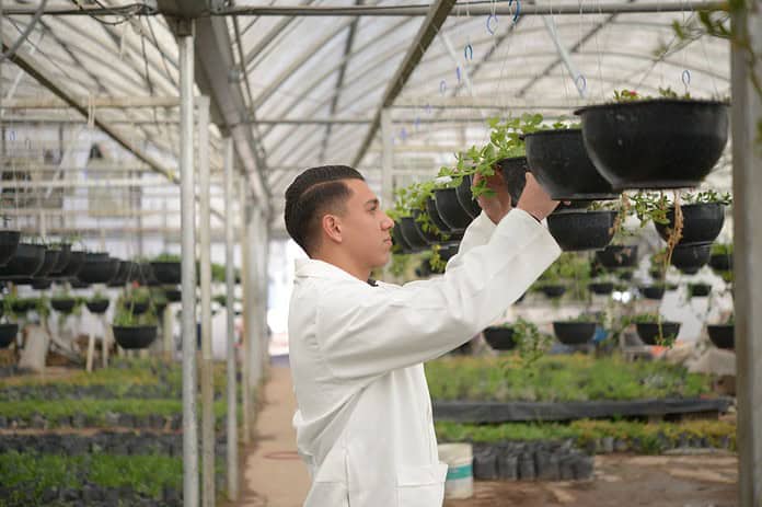 WhatsApp Image 2024-07-18 at 11.34.35 AM