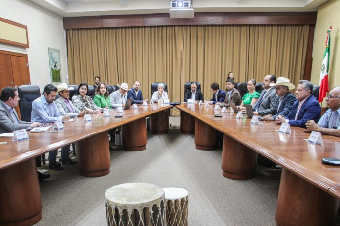 WhatsApp Image 2024-07-18 at 2.04.50 PM