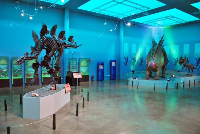 WhatsApp Image 2024-07-25 at 10.14.07 AM