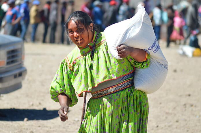 WhatsApp Image 2024-08-05 at 11.50.19 AM