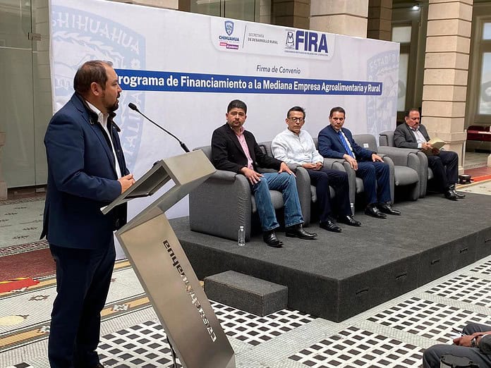 WhatsApp Image 2024-08-07 at 11.45.36 AM