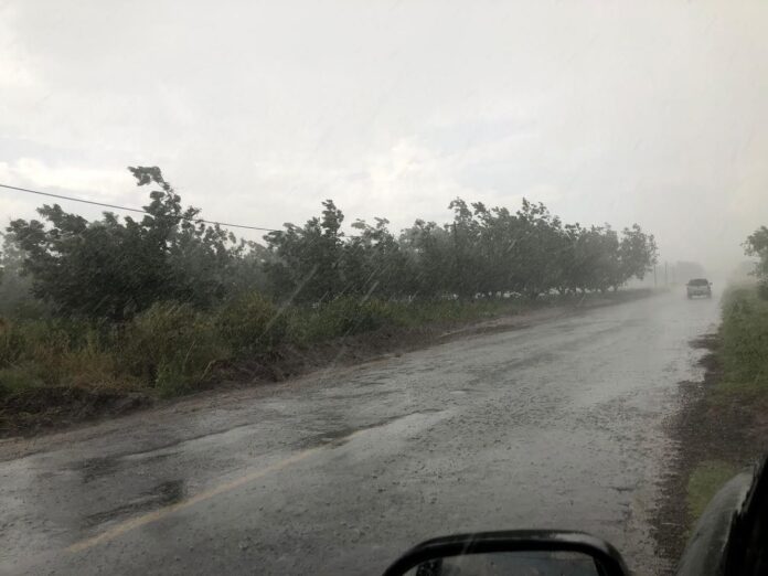 WhatsApp Image 2024-08-17 at 7.38.50 PM