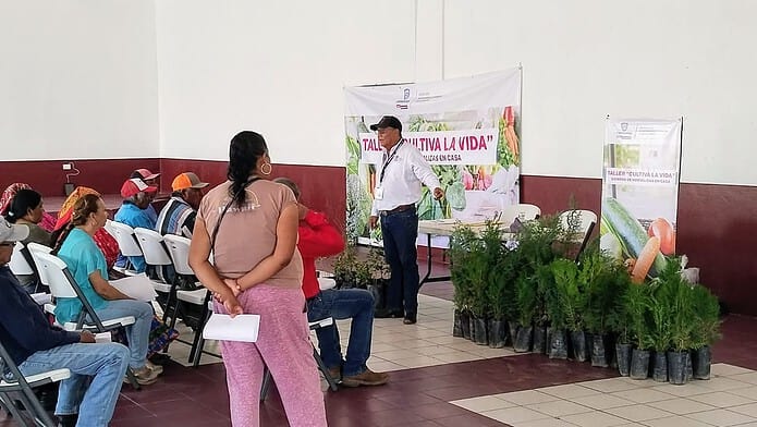 WhatsApp Image 2024-08-21 at 10.46.47 AM