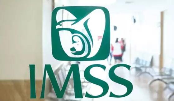 WhatsApp Image 2024-08-22 at 1.44.37 PM