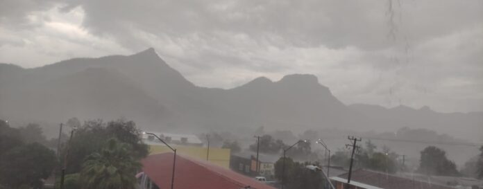 WhatsApp Image 2024-08-28 at 12.56.38 PM