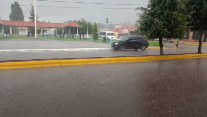 WhatsApp Image 2024-09-03 at 10.47.02 AM