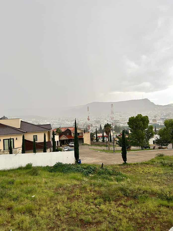 WhatsApp Image 2024-09-12 at 12.40.25 PM