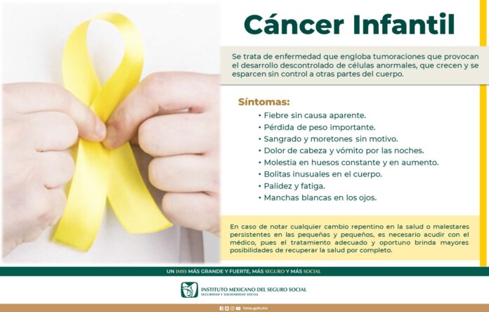 WhatsApp Image 2024-09-24 at 12.54.28 PM