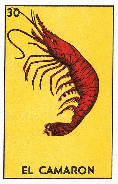 camarón
