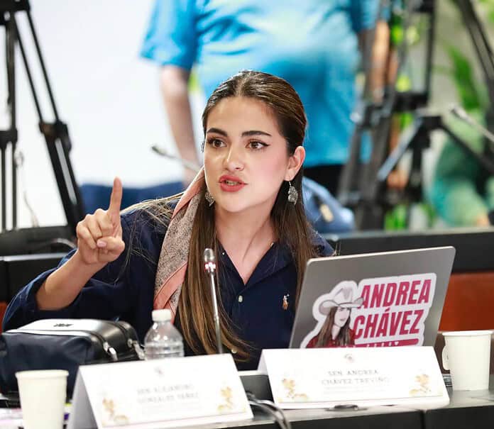 WhatsApp Image 2024-10-24 at 12.13.12 PM