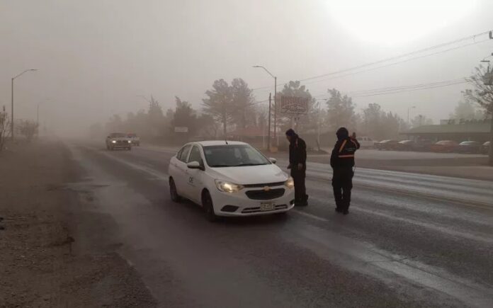 WhatsApp Image 2024-11-03 at 11.58.00 AM