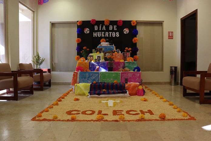 WhatsApp Image 2024-11-03 at 8.58.34 AM