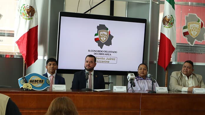 WhatsApp Image 2024-11-07 at 2.08.43 PM