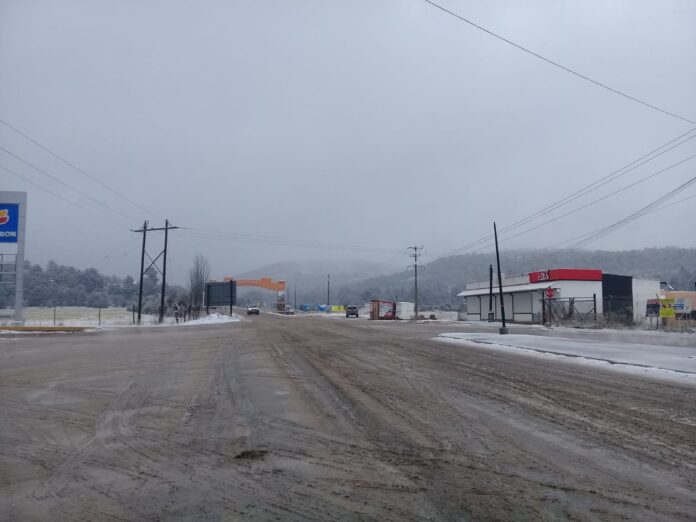 WhatsApp Image 2024-11-14 at 11.12.41 AM