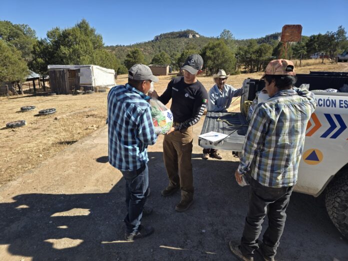 WhatsApp Image 2024-11-21 at 1.55.03 PM