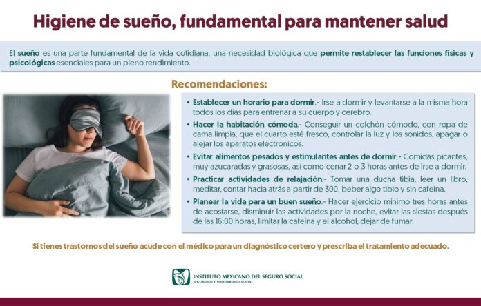 WhatsApp Image 2024-11-26 at 2.54.42 PM