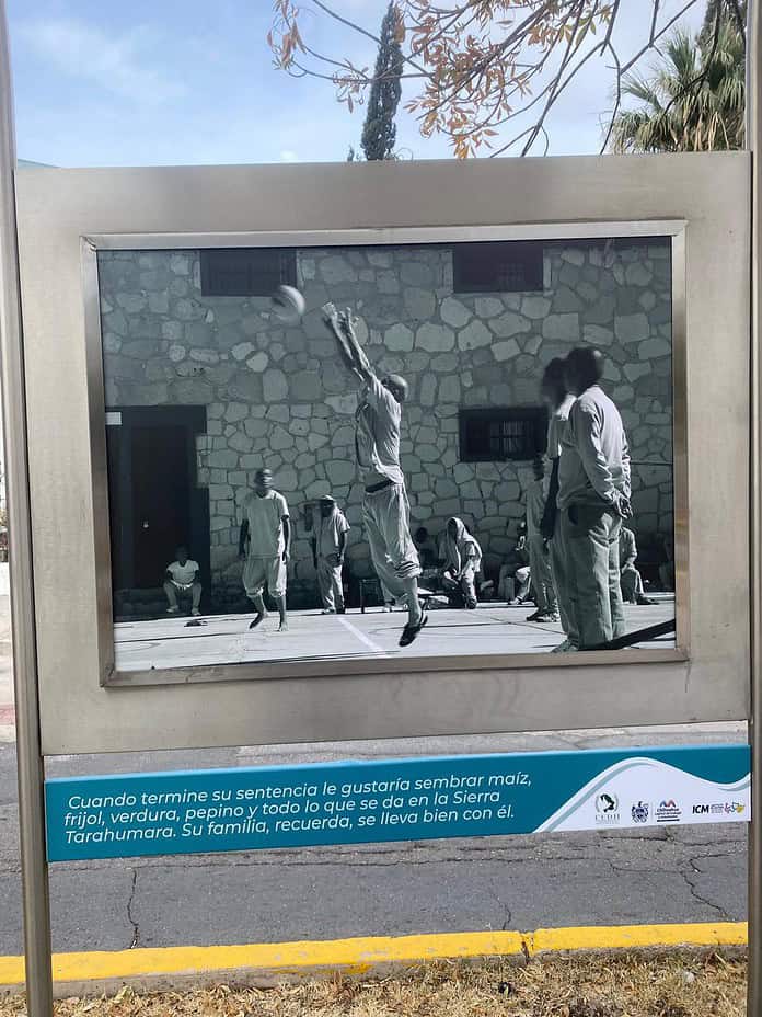 WhatsApp Image 2024-12-03 at 1.57.35 PM