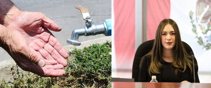 WhatsApp Image 2025-01-20 at 2.29.27 PM