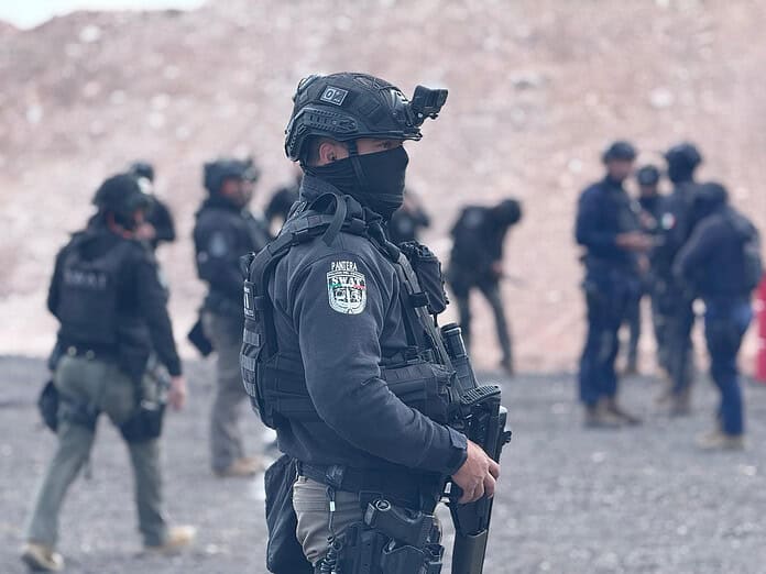 WhatsApp Image 2025-01-21 at 1.43.38 PM