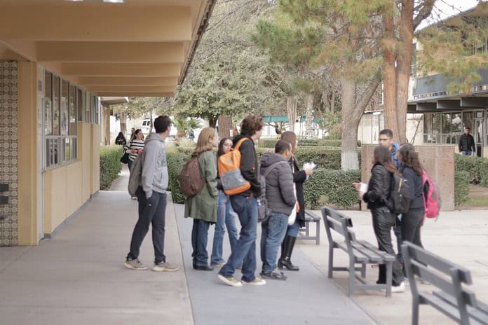 WhatsApp Image 2025-01-27 at 11.32.53 AM