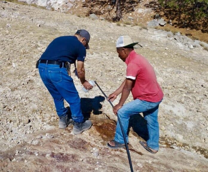 WhatsApp Image 2025-02-08 at 12.49.58 PM