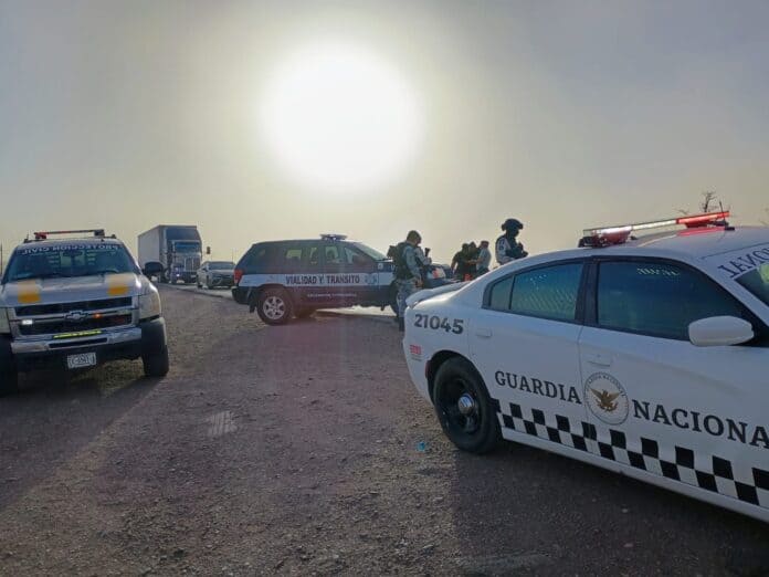 WhatsApp Image 2025-02-12 at 12.06.37 PM