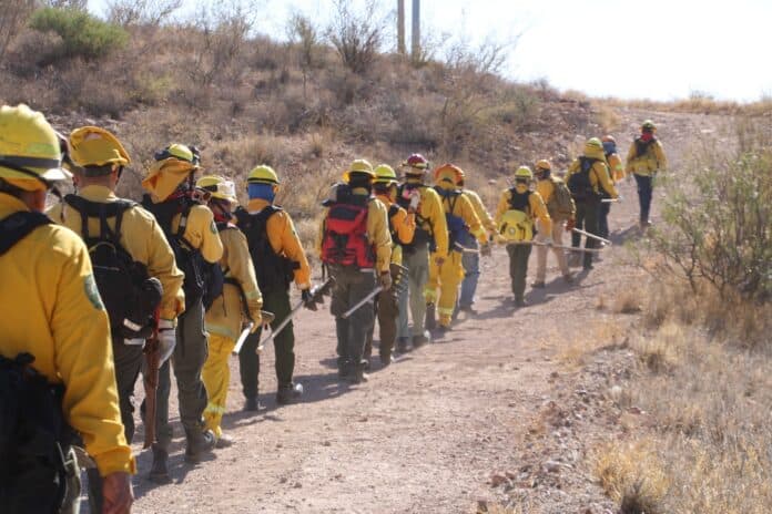 WhatsApp Image 2025-02-18 at 9.17.46 AM (1)