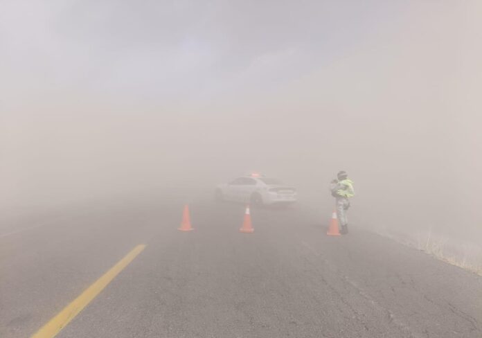 WhatsApp Image 2025-03-03 at 1.56.48 PM