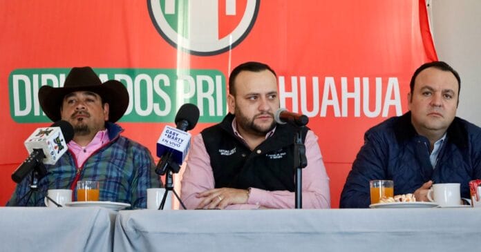 WhatsApp Image 2025-03-12 at 10.25.52 AM