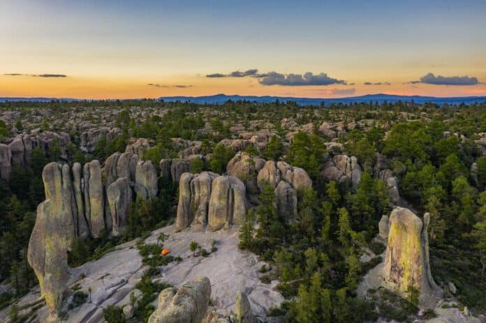 WhatsApp Image 2025-03-14 at 9.16.50 AM