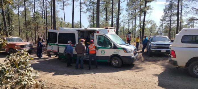 WhatsApp Image 2025-03-17 at 10.40.56 AM